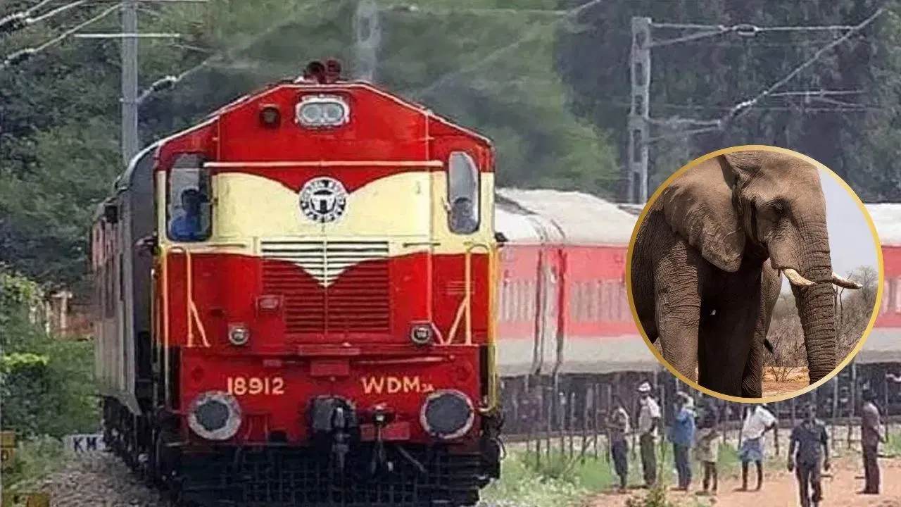 राजधानी एक्सप्रेस अपघात: हत्तीच्या कळपाला धडक, ८ हत्तींचा जागीच मृत्यू  