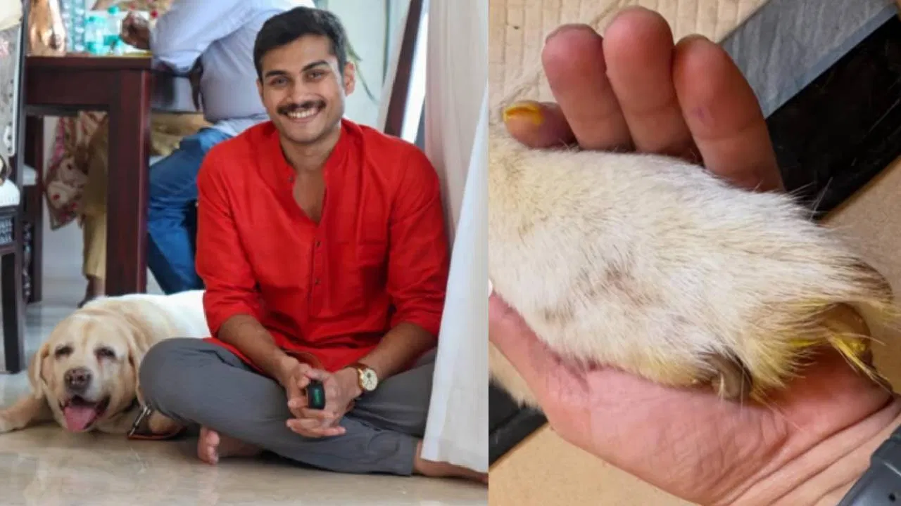 सोहम बांदेकर भावूक: १७ वर्षांचा लाडका ‘सिंबा’ गेला, खास पोस्टद्वारे दिला अखेरचा निरोप